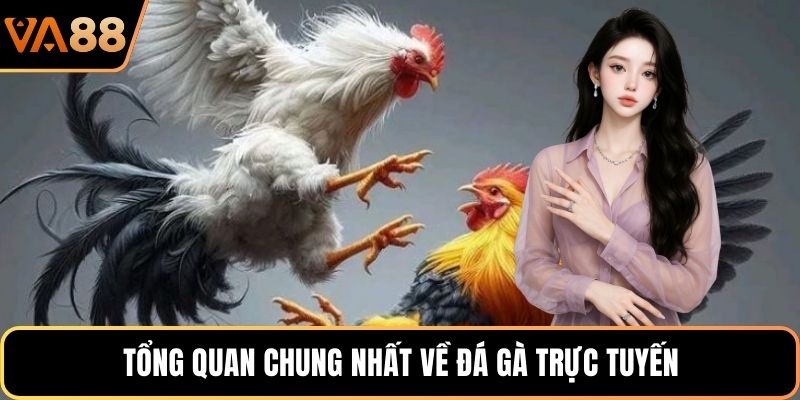 Tổng quan chung nhất về đá gà trực tuyến